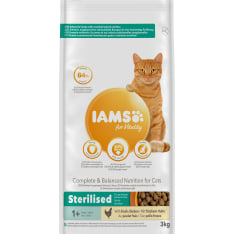 Iams Cat Adult Sterilized 3 kg kissan kuivaruoka