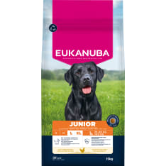 Eukanuba Dog Junior Large 15 kg koiran kuivaruoka