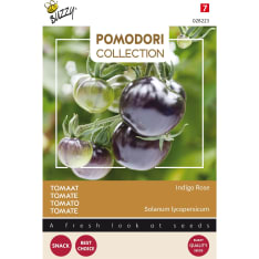 Buzzy® Pomodori, Tomato Indigo rose (black)