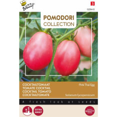 Buzzy® Pomodori, Tomato Pink Thai Egg