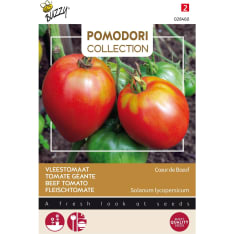 Buzzy® Pomodori, Beef Tomato Cœur de Bœuf Ox Heart