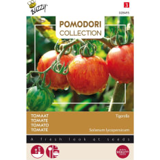 Buzzy® Pomodori, Tomato Tigerella