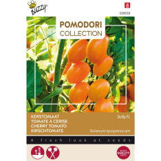 Buzzy® Pomodori, Cherry Tomato Dolly F1