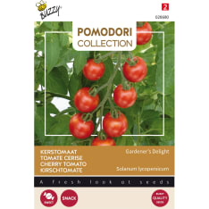 Buzzy® Pomodori Cherry Tomato Gardener's Delight