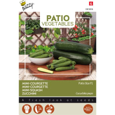 Buzzy® Patio Veggies mini-squash Patio Star F1