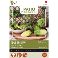 Buzzy® Patio Veggies cos lettuce mix