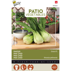 Buzzy® Patio Veggies pak choi Green F1