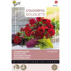 Buzzy® Colorful Bouquets Vintage Red siemen