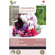 Buzzy® Colorful Bouquets Royal Family tuoksuherne siemen