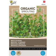 Buzzy® Organic Sprouting Broccoli cress