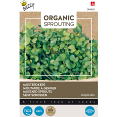 Buzzy® Bio Sprouting mustard
