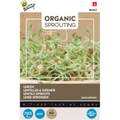 Buzzy® Bio Sprouting lentil