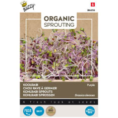 Buzzy® Bio Sprouting Kohlrabi purple