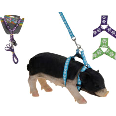 KM 120 cm dog leash + harness