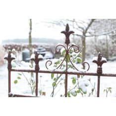 Hortex 54 x 165cm fence with 5 fences