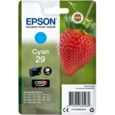 Epson 29 syaani mustepatruuna