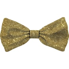 Plenty Glitter kulta L lemmikin rusetti