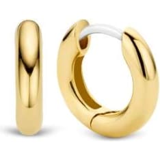 TI SENTO 7210YS Earrings