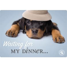 Plenty rottweiler from the beginning