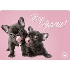 Plenty french bulldog from the beginning