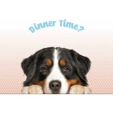 Plenty Berni platform