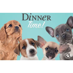 Plenty Dinner time! alusta