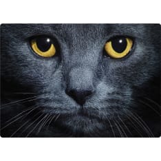 Plenty of cat eyes from the platform