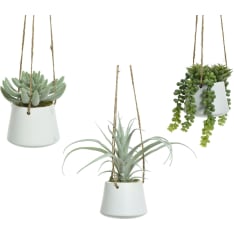 Everlands Artificial plant in a white pot succulent plant
