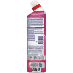 Domestos Power Fresh Floral 750 ml WC-puhdistusaine