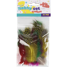 Art&Craft feathers