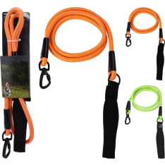 Dogs koiran talutin