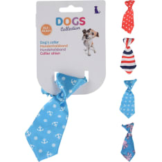 Dogs lemmikin solmio