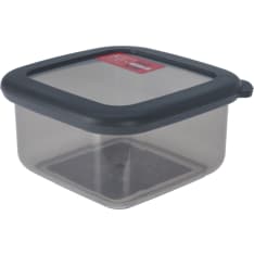 EH gray storage box