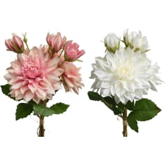 Everlands  Dahlia tekokukka