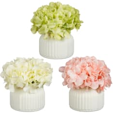 Mica Hydrangea 8x17cm tekokasvi lajitelma