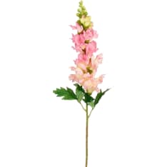 Mica Delphinium 80cm tekokasvi