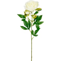 Mica Peony cream 66cm tekokukka