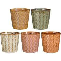 Mica Tanja 12,5x13,5cm ruukku lajitelma