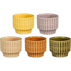 Mica Lauria 6x7,5cm ruukku lajitelma