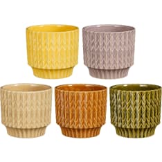 Mica Lauria 12,5x13,5cm ruukku lajitelma