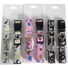 Dogs Fun dog collar and leash