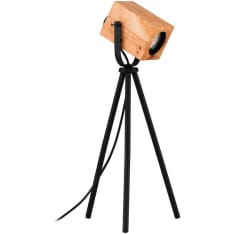 Eglo Ayles 3W table lamp