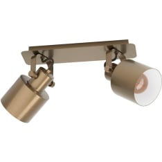 Eglo Southery 2-piece ceiling lamp