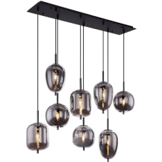 Globo Blacky 8-piece pendant light