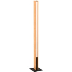 Eglo Anchorena-Z Floor lamp