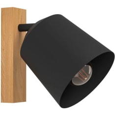 Eglo Cotorro 25W seinävalaisin
