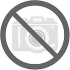 Bernardo Hobby 140 poraistukka