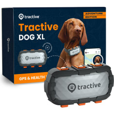 Tractive Koira XL Adventure 4G GPS activity collar