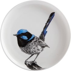 Maxwell & Williams Marini Ferlazzo Superb Fairy Wren 20cm lautanen