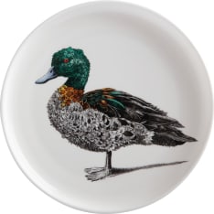 Maxwell & Williams Marini Ferlazzo Chestnut Teal Duck 20cm lautanen
